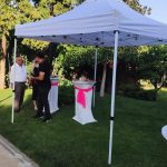 Düğün Yemeği Mi, Düğün Kokteyli Mi? Siz Karar Verin, Gerisini Biz Planlayalım