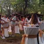 Catering Organizasyon Paketleri | Her Davete Uygun 5 Paket ve 1 VIP Seçenek